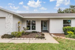 4201 HOLLOW HILL DRIVE, TAMPA, FL 33624 Sold 10/24/24