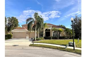 10411 Riverburn Dr, TAMPA