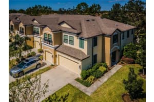 11744 CROWNED SPARROW LANE, TAMPA, FL 33626 Sold 12/05/24