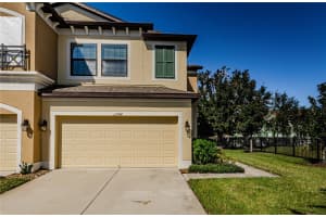 11744 CROWNED SPARROW LANE, TAMPA, FL 33626 Sold 12/05/24