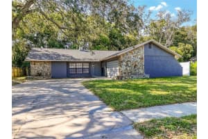 17612 MEADOWBRIDGE DRIVE, LUTZ, FL 33549 Sold 12/20/24