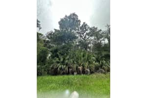 5501 CREEK RIDGE ROAD, BROOKSVILLE, FL 34601 Sold 12/11/24