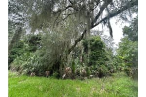 5501 CREEK RIDGE ROAD, BROOKSVILLE, FL 34601 Sold 12/11/24