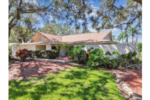 13906 VILLAGE LAKE PLACE, TAMPA, FL 33624 Sold 12/04/24
