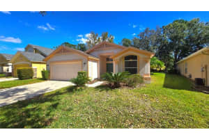 10155 HEATHER SOUND DRIVE, TAMPA, FL 33647 Sold 11/22/24