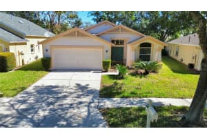 10155 HEATHER SOUND DRIVE, TAMPA, FL 33647 Sold 11/22/24