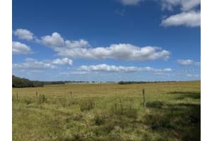 8334 CASS ROAD, ZEPHYRHILLS, FL 33540 Sold 01/16/25