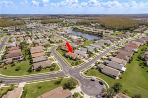 1724 ARBOR KNOLL LOOP, TRINITY, FL 34655 Sold 03/07/25