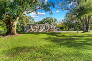 1734 ANNA RD, ODESSA, FL 33556 Sold 02/07/25