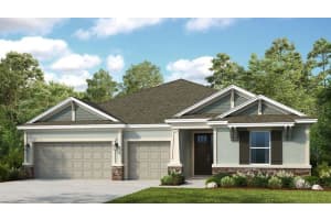 2251 OVERFALLS PLACE, WESLEY CHAPEL, FL 33543 Sold 03/20/25