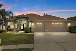 18117 PHEASANT WALK DRIVE, TAMPA, FL 33647 Sold 12/18/24