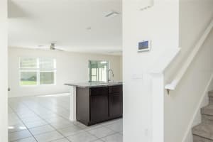 12197 DOWNY BIRCH DRIVE, RIVERVIEW, FL 33569 Sold 05/16/25