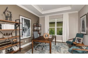 2299 OVERFALLS PLACE, WESLEY CHAPEL, FL 33543 Sold 04/15/25