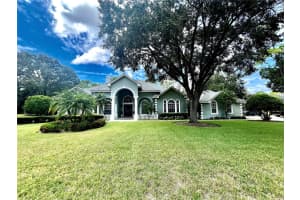 168 Rue Des Chateaux, TARPON SPRINGS