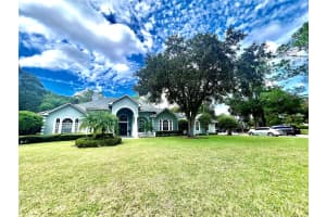 168 RUE DES CHATEAUX, TARPON SPRINGS, FL 34688 - MLS#MFRTB8313483