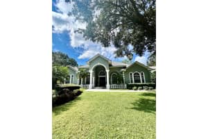 168 RUE DES CHATEAUX, TARPON SPRINGS, FL 34688 - MLS#MFRTB8313483
