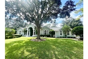 168 RUE DES CHATEAUX, TARPON SPRINGS, FL 34688 - MLS#MFRTB8313483