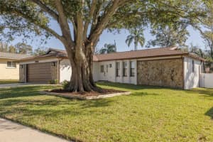 1005 OAKVIEW AVENUE, CLEARWATER, FL 33756 Sold 11/13/24