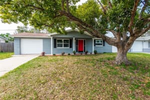 3535 CONNON DRIVE, NEW PORT RICHEY, FL 34652 Sold 12/24/24