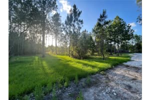 26369 LAWRENCE AVENUE, WESLEY CHAPEL, FL 33544 Sold 01/30/25