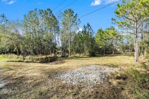 26369 LAWRENCE AVENUE, WESLEY CHAPEL, FL 33544 Sold 01/30/25