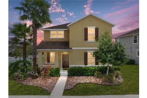 8720 SAVORY WALK DRIVE, LAND O LAKES, FL 34637 Sold 07/01/25