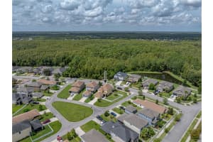 8720 SAVORY WALK DRIVE, LAND O LAKES, FL 34637 Sold 07/01/25