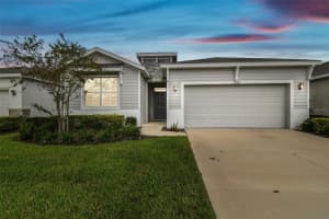 13204 Waterleaf Garden Cir, RIVERVIEW