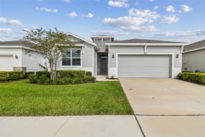 13204 WATERLEAF GARDEN CIRCLE, RIVERVIEW, FL 33579 - MLS#MFRTB8313589
