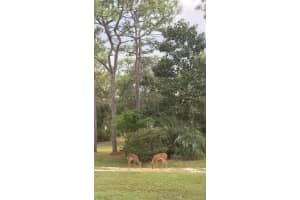 8991 LONG LAKE AVENUE, WEEKI WACHEE, FL 34613 Sold 01/21/25