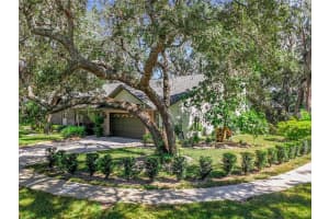 2728 SAINT CLOUD OAKS DRIVE, VALRICO, FL 33594 Sold 04/22/25