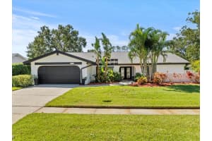 14807 CLARENDON DRIVE, TAMPA, FL 33624 Sold 11/15/24