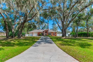 8420 SOUTHWOOD PINES STREET, LITHIA, FL 33547 Sold 12/20/24