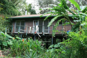 8030 290TH AVENUE, ALACHUA, FL 32615 Sold 11/22/24