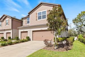 5172 SYLVESTER LOOP, TAMPA, FL 33610 Sold 12/27/24