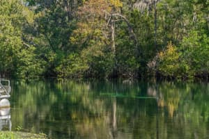10369 186TH AVENUE, DUNNELLON, FL 34432 Sold 11/15/24