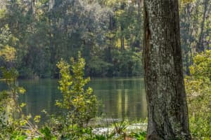 10369 186TH AVENUE, DUNNELLON, FL 34432 Sold 11/15/24