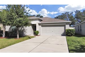 10204 STRAWBERRY TETRA DRIVE, RIVERVIEW, FL 33578 Sold 01/15/25
