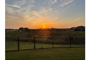 31284 MANGO FADE WAY, SAN ANTONIO, FL 33576 Sold 12/26/24