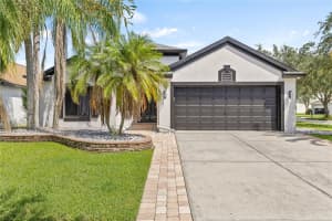 11309 CYPRESS RESERVE DRIVE, TAMPA, FL 33626 Sold 12/20/24