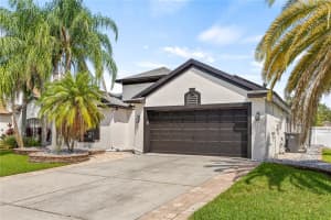 11309 CYPRESS RESERVE DRIVE, TAMPA, FL 33626 Sold 12/20/24