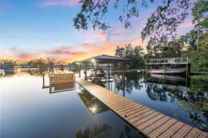 10412 CARROLL COVE PLACE, TAMPA, FL 33612 Sold 04/01/25
