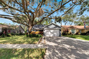 2004 RUDDER DRIVE, VALRICO, FL 33594 Sold 11/26/24