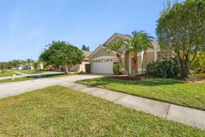 12548 BLAZING STAR DRIVE, TAMPA, FL 33626 Sold 12/11/24