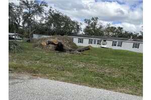 10036 COWLEY ROAD, RIVERVIEW, FL 33578 Sold 12/05/24