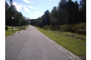 4893 MAJESTIC HILLS LOOP, BROOKSVILLE, FL 34601 Sold 01/10/25