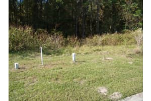 4893 MAJESTIC HILLS LOOP, BROOKSVILLE, FL 34601 Sold 01/10/25