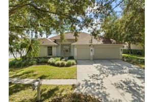 17303 LOCKWOOD RIDGE DRIVE, TAMPA, FL 33647 Sold 11/22/24