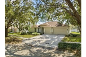 17303 LOCKWOOD RIDGE DRIVE, TAMPA, FL 33647 Sold 11/22/24