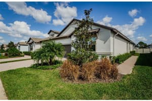 9912 CAMPANULA COURT, LAND O LAKES, FL 34637 Sold 11/25/24